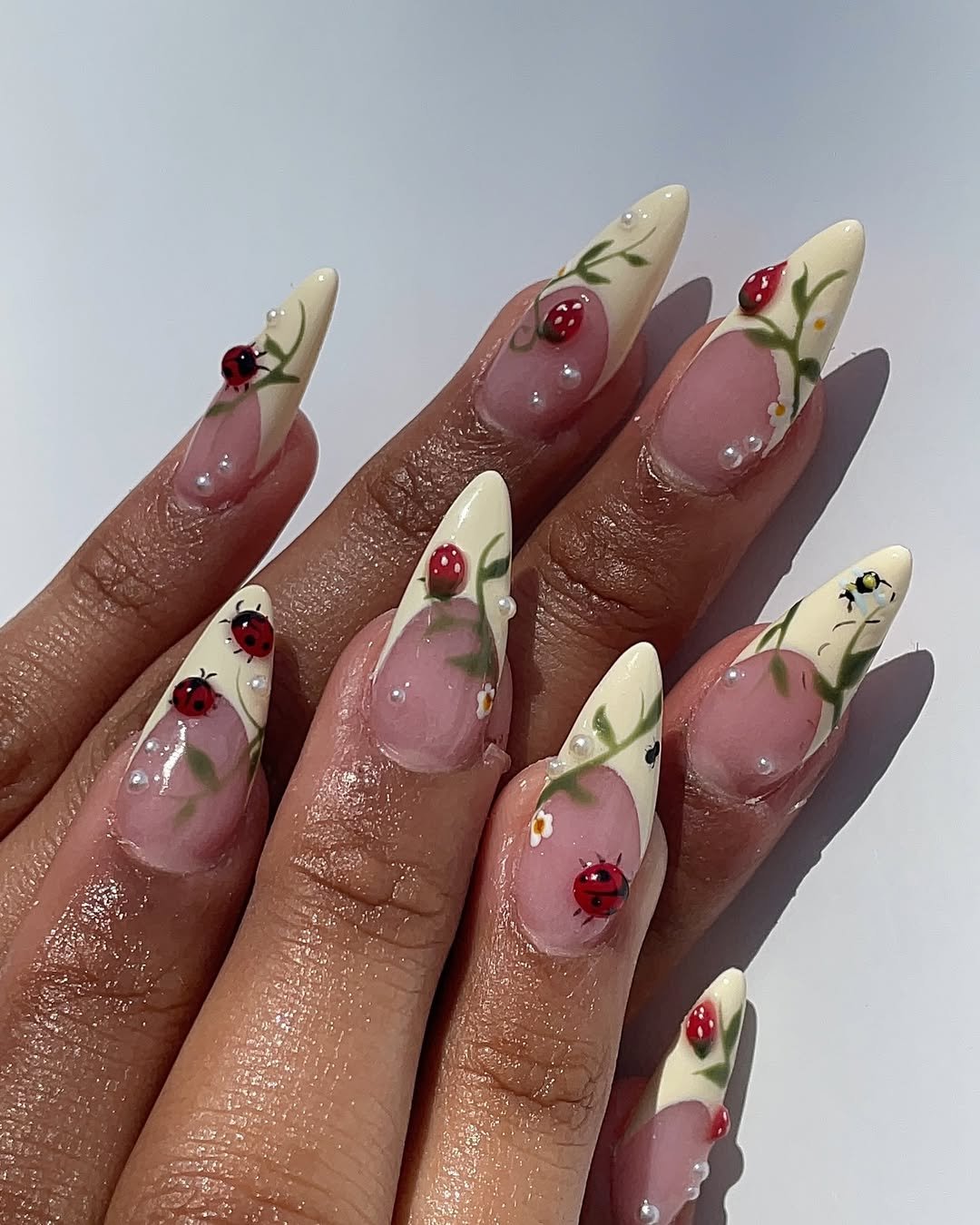 Enchanted Ladybug Trails 