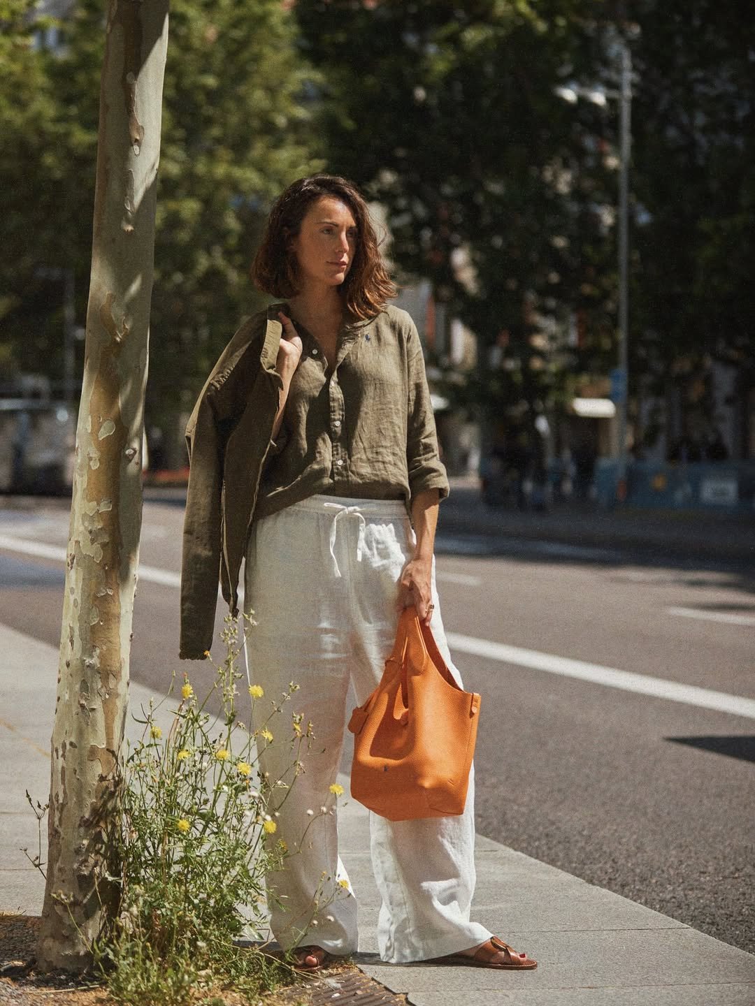 City Olive Ease 